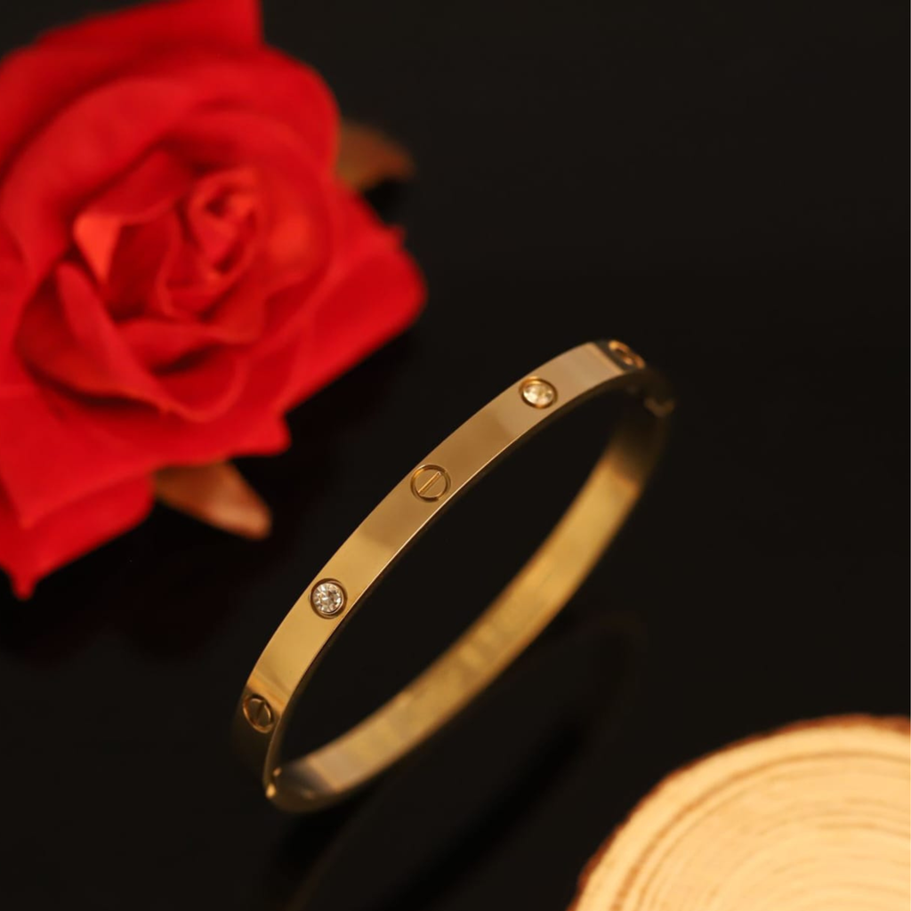 Luxury SS Bangle